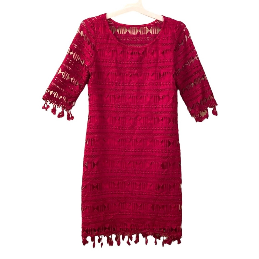 Junco Y Arena Dress Pink Embroidered Lace 3/4 Sleeves Fringe WM SZ 40 Medium 💖